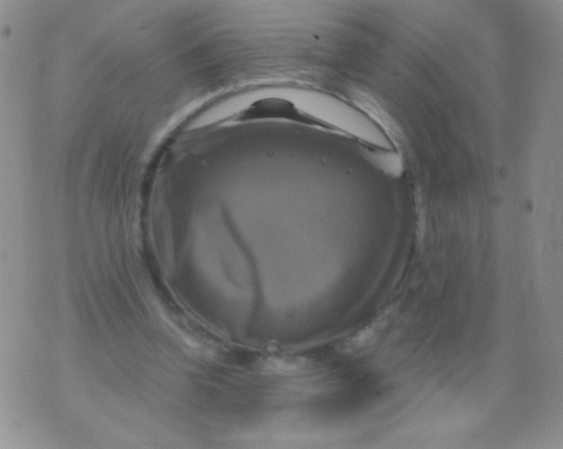 X0000075900346200610062123