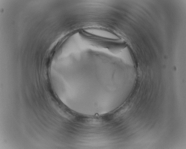 X0000075900347200610062123