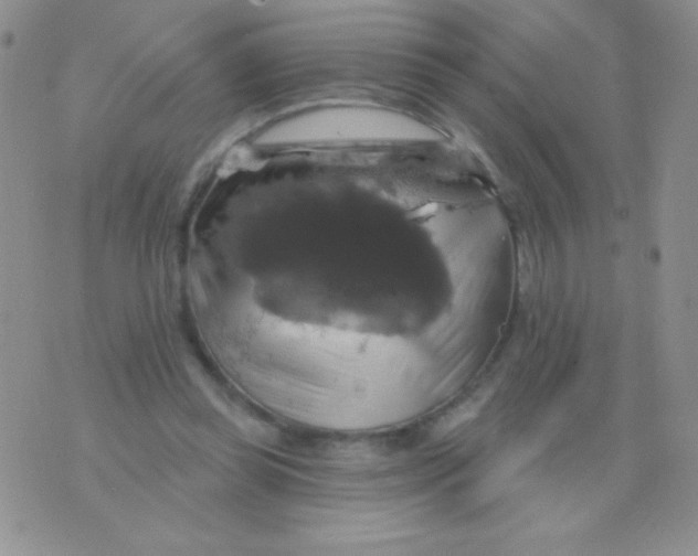 X0000075900349200610062123