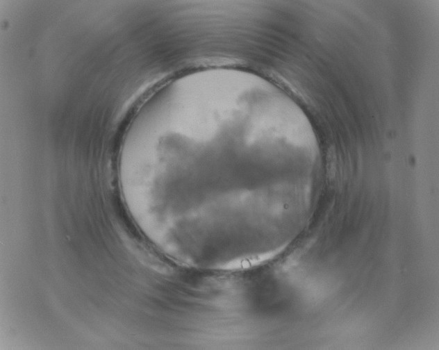 X0000075900351200610062123