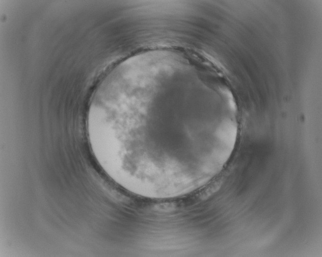 X0000075900353200610062123