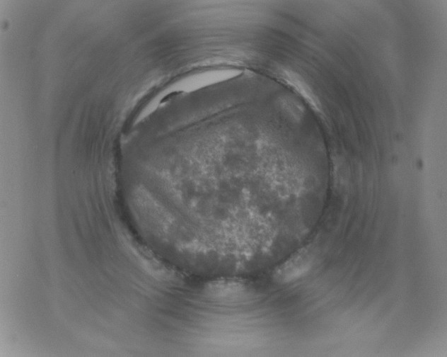 X0000075900354200610062123