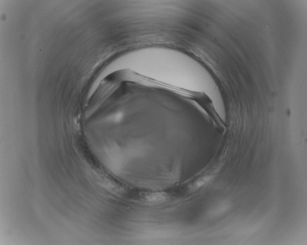 X0000075900355200610062123