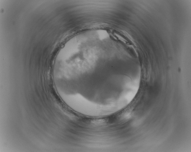 X0000075900357200610062123