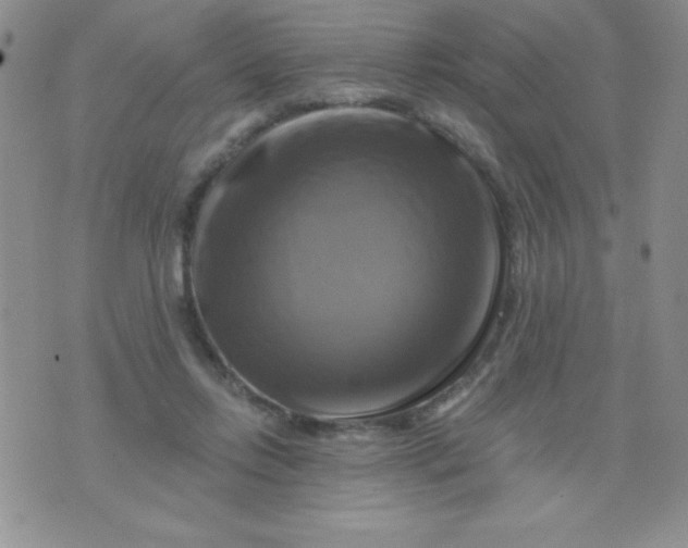 X0000075900358200610062123