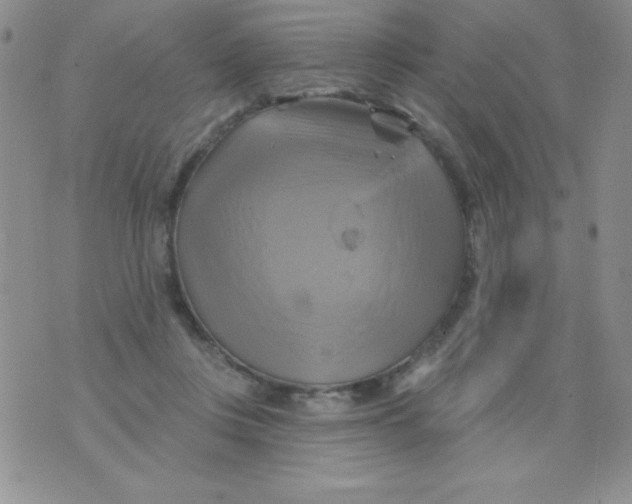 X0000075900359200610062123