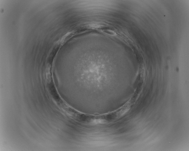 X0000075900360200610062123