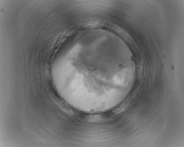 X0000075900361200610062123