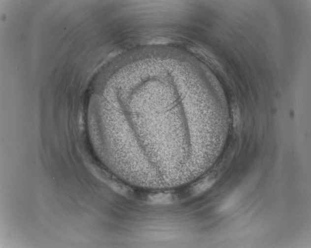 X0000075900362200610062123