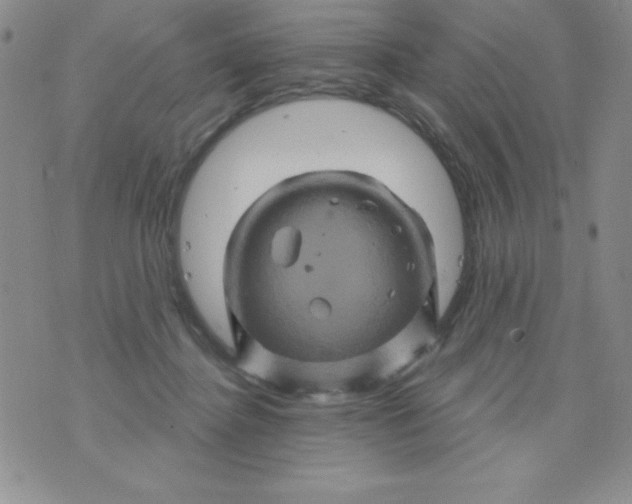 X0000075900364200610062123