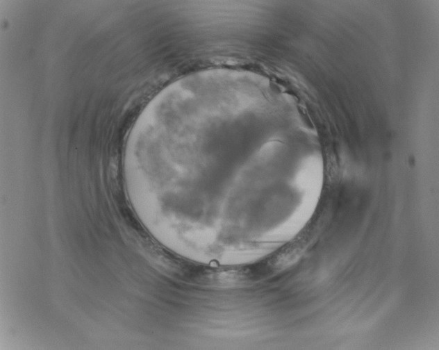 X0000075900365200610062123