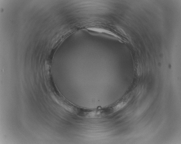 X0000075900366200610062124