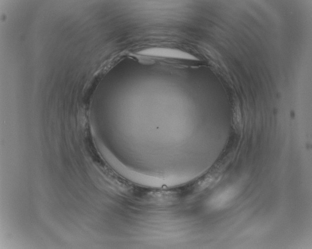 X0000075900367200610062124