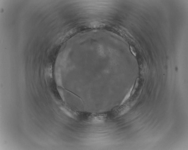 X0000075900368200610062124