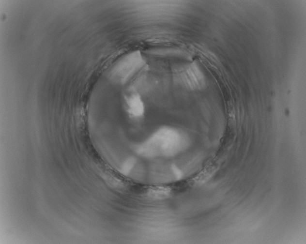 X0000075900369200610062124