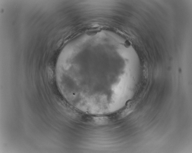 X0000075900371200610062124