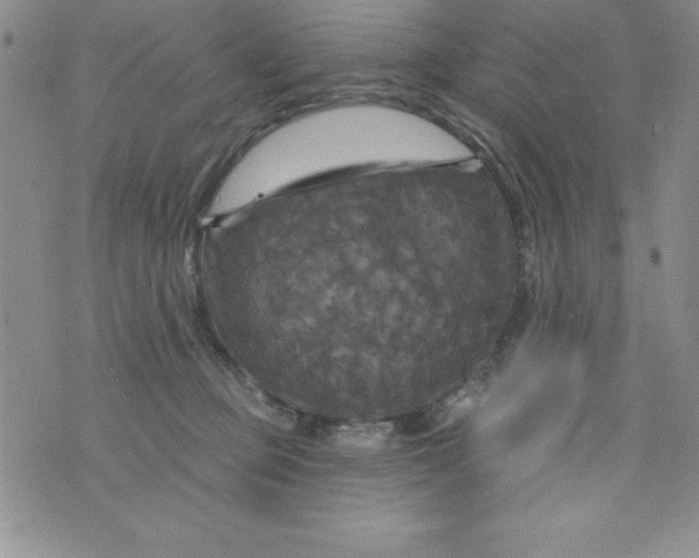 X0000075900373200610062124