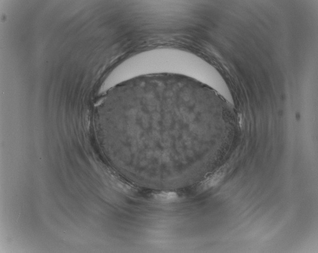 X0000075900374200610062124