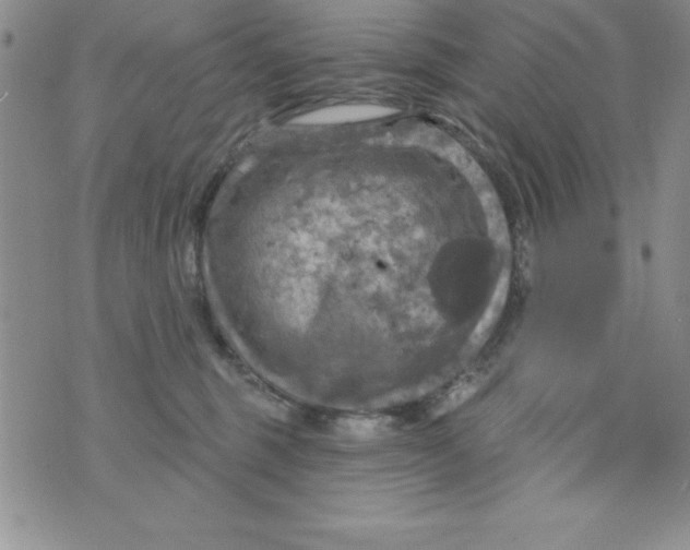 X0000075900375200610062124