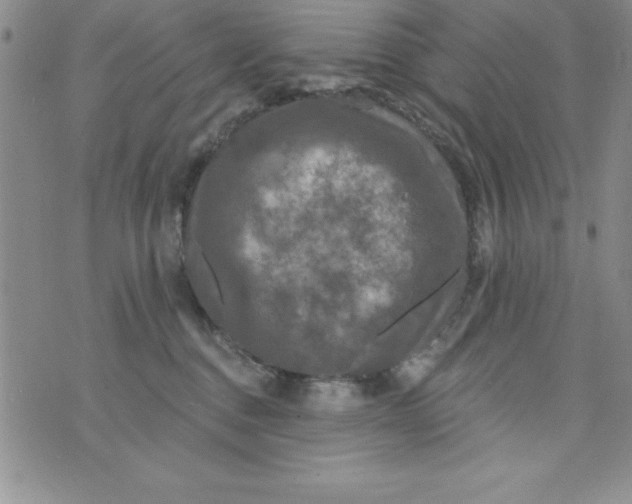 X0000075900376200610062124