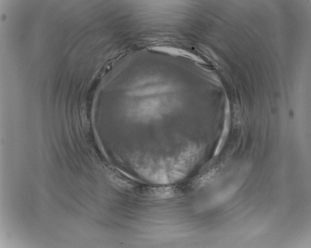 X0000075900377200610062124