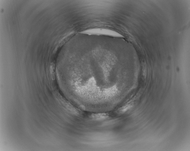 X0000075900378200610062124