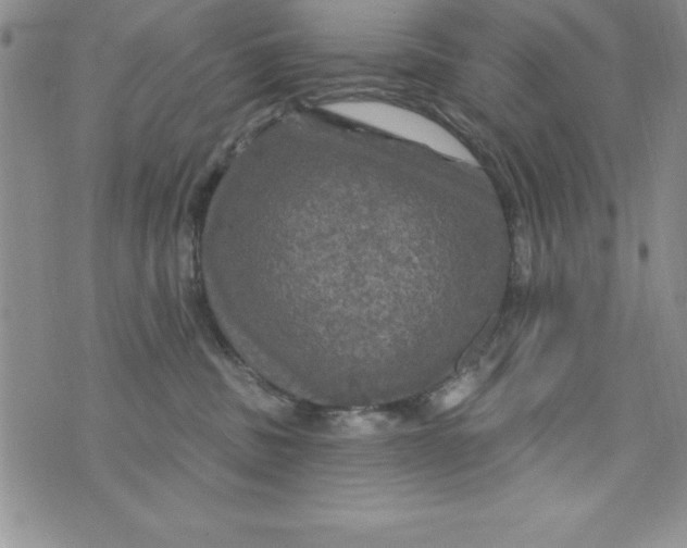 X0000075900379200610062124