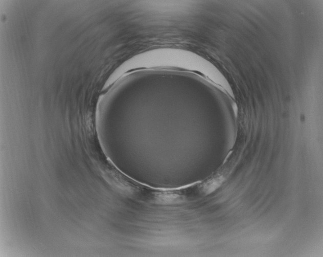 X0000075900380200610062124