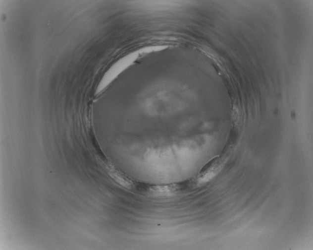 X0000075900381200610062124