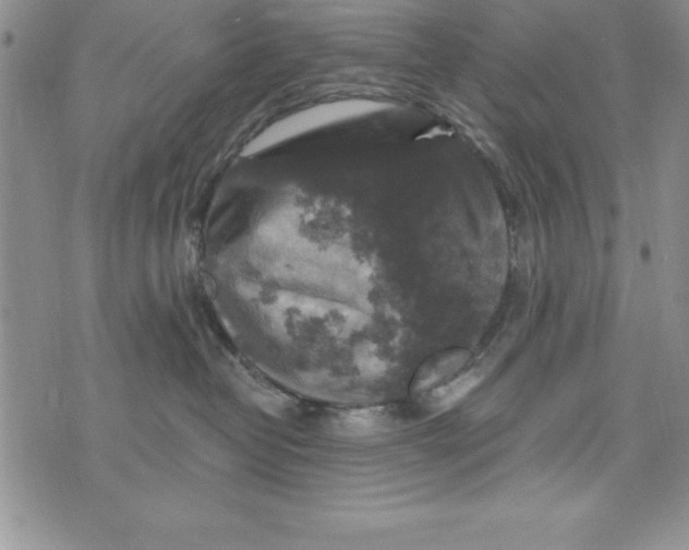 X0000075900382200610062124