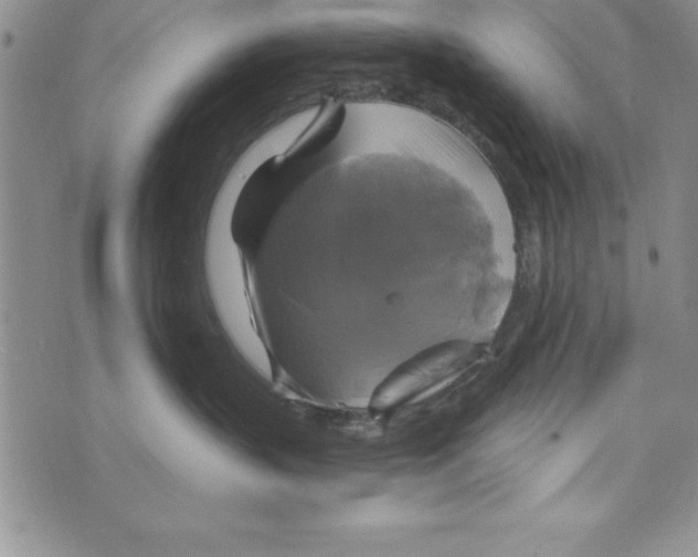 X0000075900383200610062124