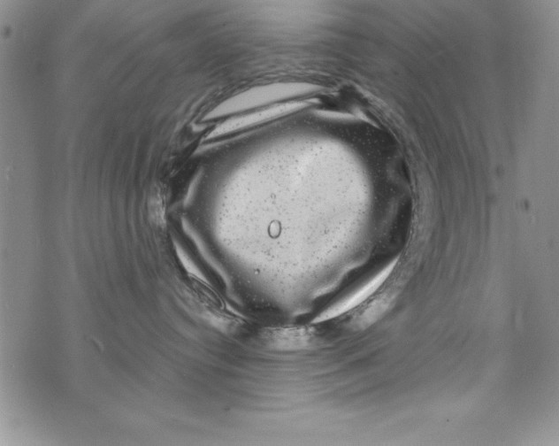 X0000075900384200610062124