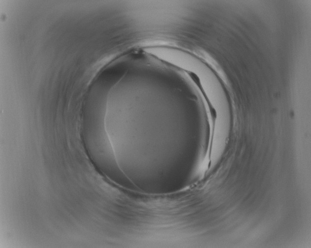 X0000075900385200610062123