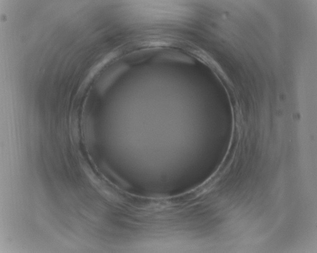 X0000075900386200610062123