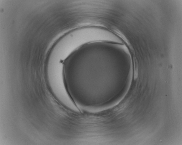 X0000075900387200610062123