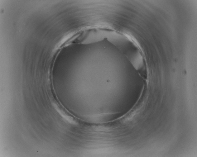 X0000075900389200610062123