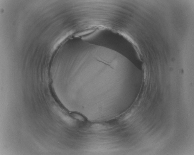 X0000075900390200610062123