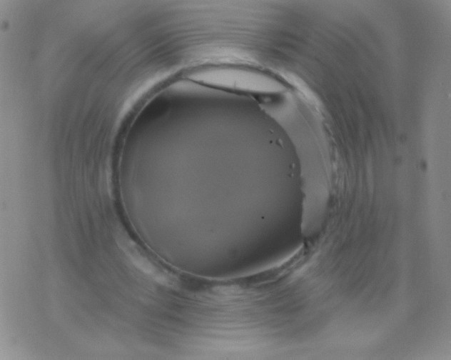 X0000075900391200610062123