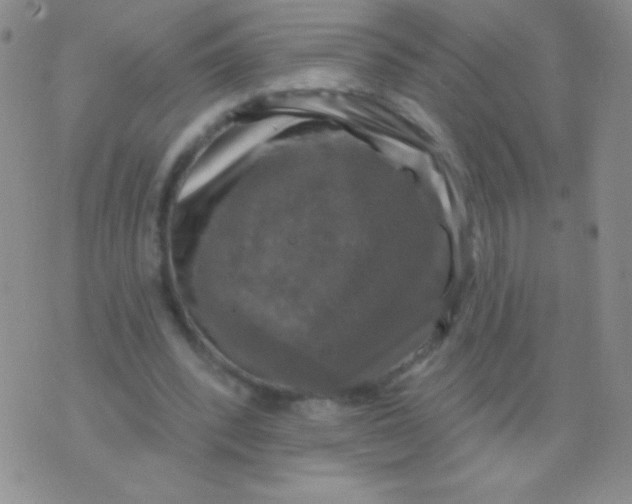 X0000075900392200610062123