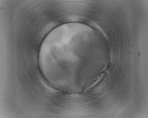 X0000075900394200610062123