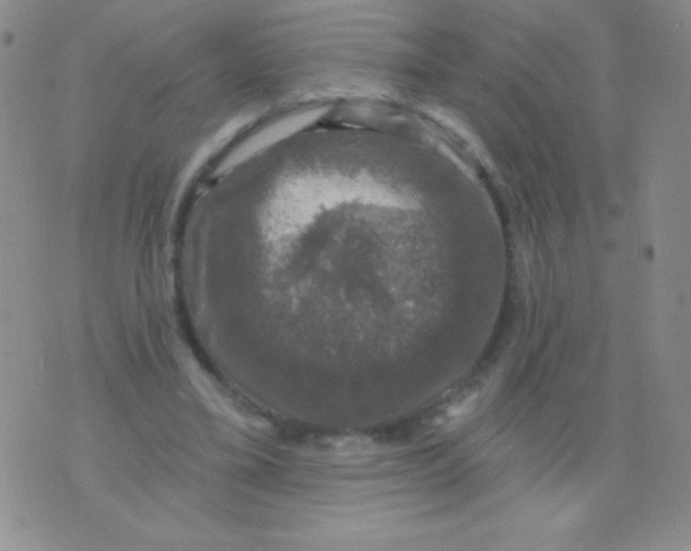 X0000075900395200610062123