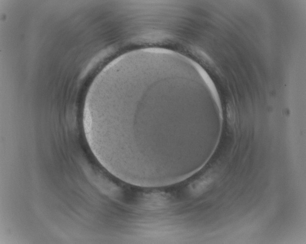 X0000075900396200610062123