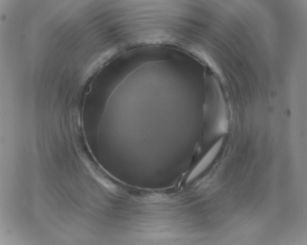 X0000075900397200610062123