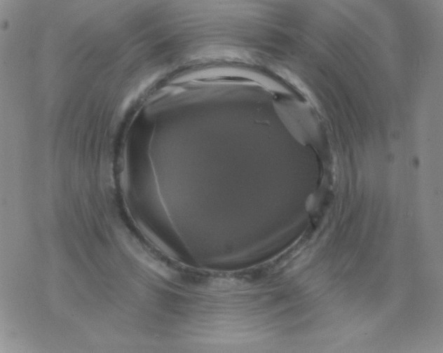 X0000075900399200610062123