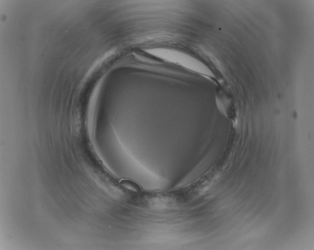 X0000075900400200610062123