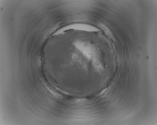 X0000075900401200610062123