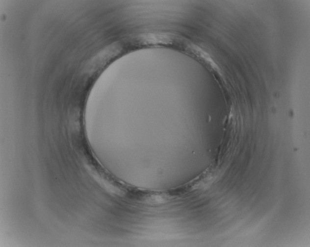 X0000075900402200610062123