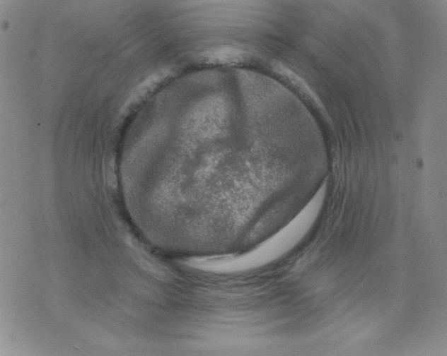 X0000075900403200610062123