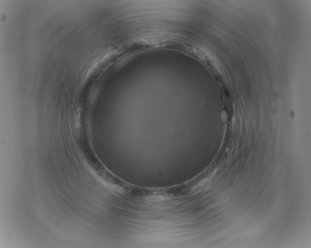 X0000075900404200610062123