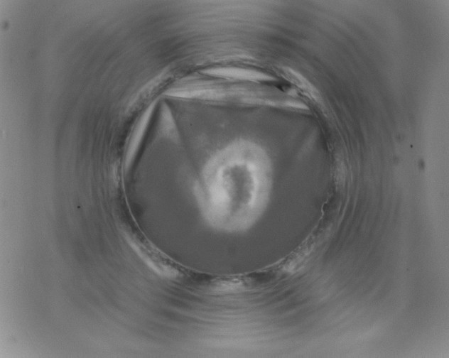 X0000075900405200610062123